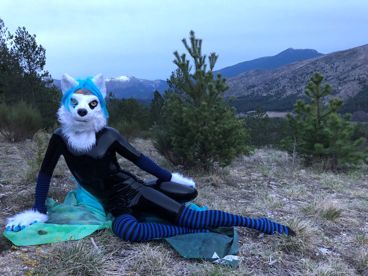 what a beautifull landscape to refresh this new black and #shinyskin <3 i think i'll really get used to it 
hope one day i'll become a full #latexwolf 

#latex #latexfursuit #latexfur 
📸@Dokuta_Woof