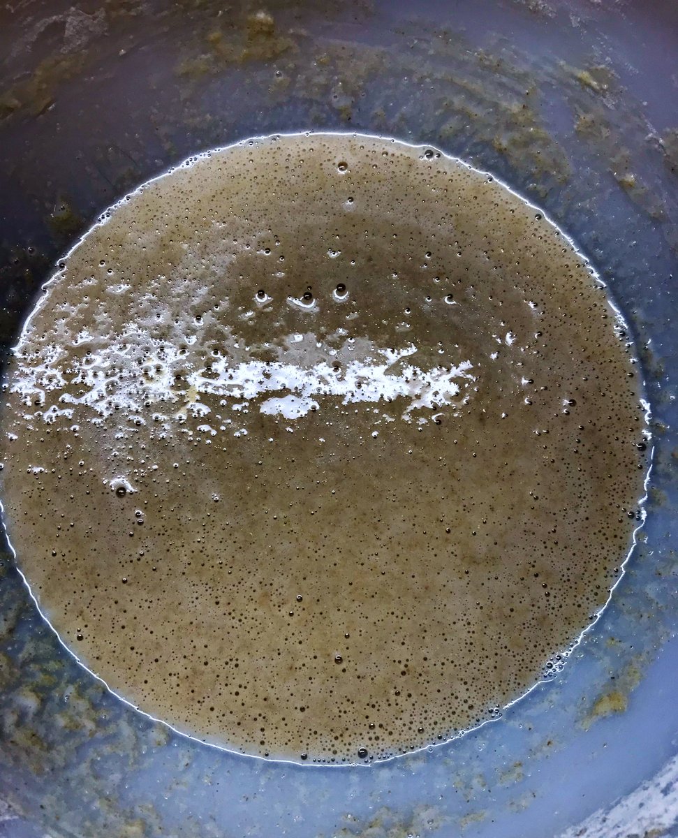 Now for the Kamut/Khorasan flour on the  @NASAJPL wild yeast. The COLOR of the Kamut flour is beautiful- and the SMELL is amazing. I dare say it reminds me of  @RealCapnCrunch cereal. It’s great. I’m very excited to see what comes out.