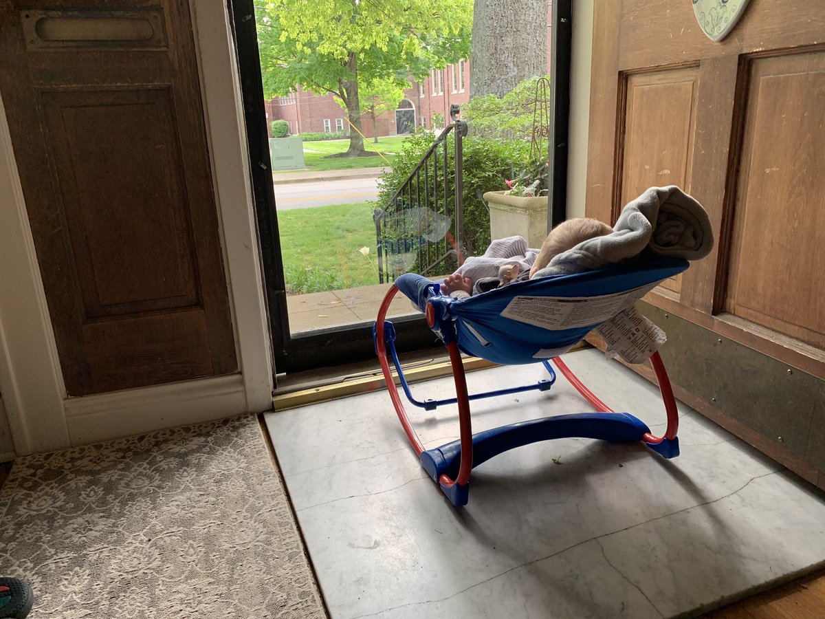 Hayley__Minogue's tweet photo. Jackson loves to sit at the door and look outside. I’ve always thought it was cute but now I’m getting serious Bran vibes. https://t.co/L4lrVsmZxB