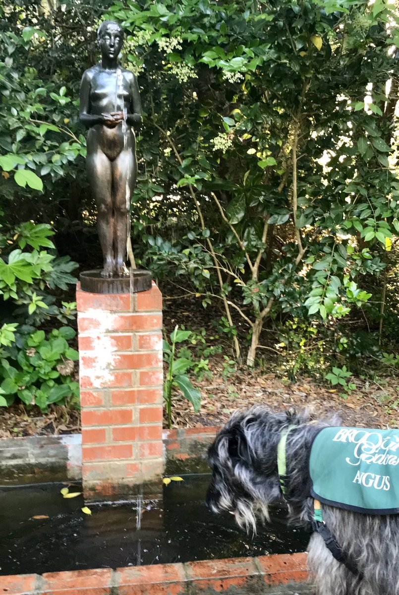 BGDeerhound's tweet image. “The Source” of my joy this Sunday! Sculptor Janice Mauro created the 2019 Brookgreen medal debuting today! Checkout our searchable database to learn more brookgreen.pastperfectonline.com/webobject/145C… #arthound #brookgreen