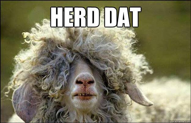 GuruOfXellence's tweet photo. I’d rather go herd sheep and be a Sheperd for the rest of my life #ThanGoBackToMyEx https://t.co/kLU6rwGKC4