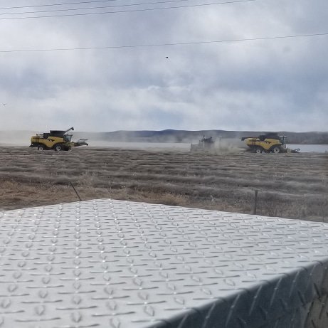 JustEnjoyPhoto's tweet photo. Harvest 2019 Loon Lake, Sk. https://t.co/osc154Q4uK