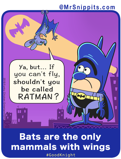 MrSnippits's tweet photo. April 28 is #SuperheroDay. I still say Val Kilmer was the #bestBatman  Or... to be more accurate Flying Squirrel Man or Sugar Glider Possum Man as Batman doesn't fly- only glides. https://t.co/LUrCtc7qoZ