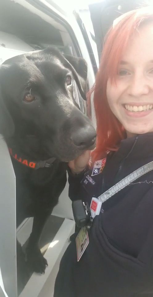 KelseyDeeXO's tweet photo. @OverheardOnDuty Work AND dawg! Best stuff ever! #k9 #paramagic #police https://t.co/vLxs1un1s8