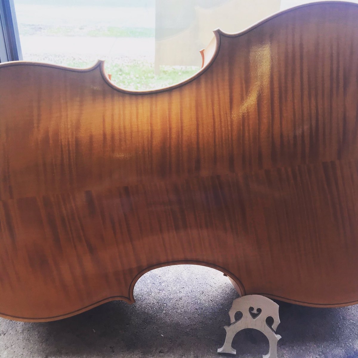 FeinViolins's tweet photo. The view from the workbench today. Cutting a new bridge for this Brian Lisus cello from South Africa. Made in 2003. And! Putting it on sale for the deal of a lifetime. Who needs a professional cello for $notmuch.99? See it on our website https://t.co/WNUkd28AcQ #cello #FineCello https://t.co/JVFGpMFv7V