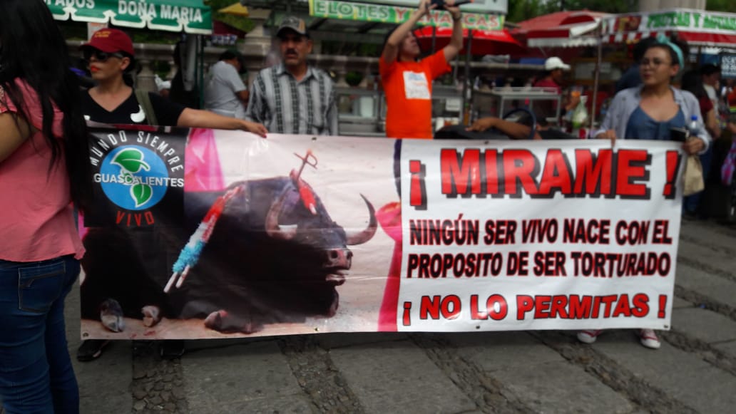 prensaanimal4's tweet photo. #Antencion organizaciones se unen #Aguascalientes #FeriaDeSanMarcos #UnaFeriaSinSangre contra las corridas de toros este 28 de abril inicia manifestación Templo de San Marcos
@AnimaNaturalis @M1llonDe @FortalezaAnimal
#MADMI
#MundoSiempreVivo
https://t.co/3Ie4aGfrPc https://t.co/gD3wRgaOvt