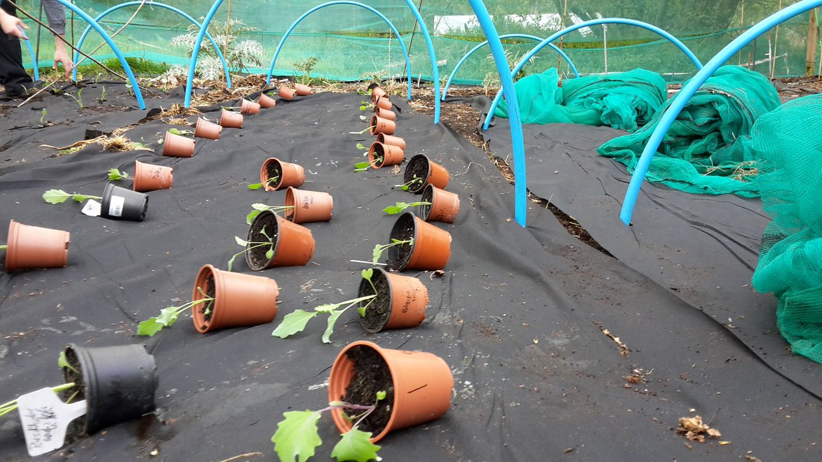 brassière de running