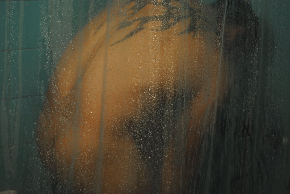 augustorph's tweet image. 