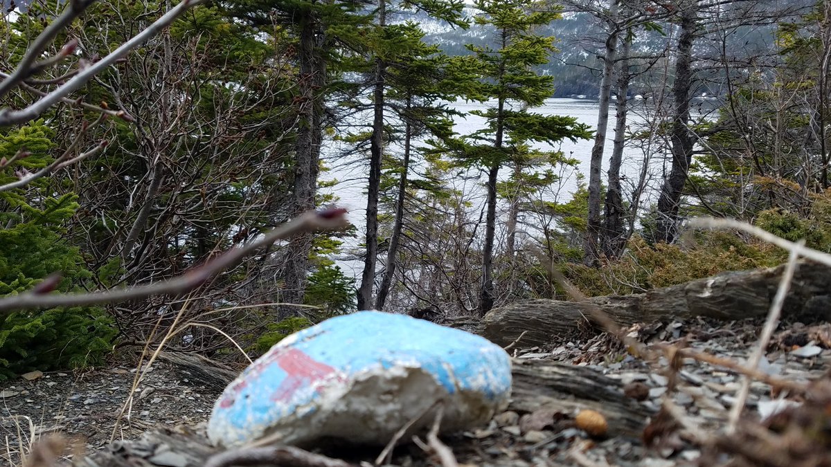 AHOI_NL's tweet photo. Nothings worse then going for a walk and stumbling across this #styrofoam #fishingindustry crap! Companies who make this need to be held accountable. #comecleanupyourmess #polluterpays #EPR #isthisyours #needalternatives https://t.co/mDVJXDrUbh