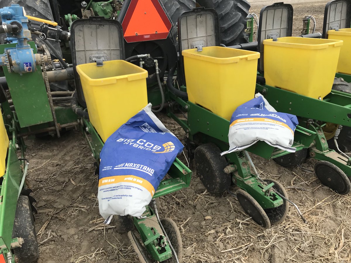 A34Ray's tweet image. Got my plot in today!! #plant19