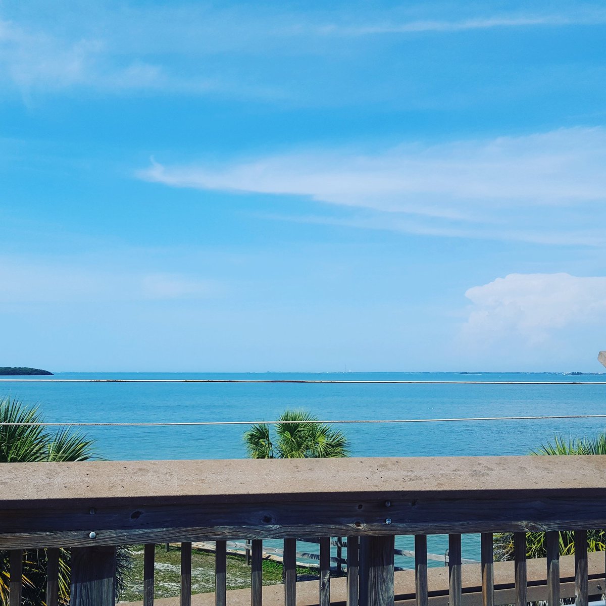 Real Queen of Horror tweet media