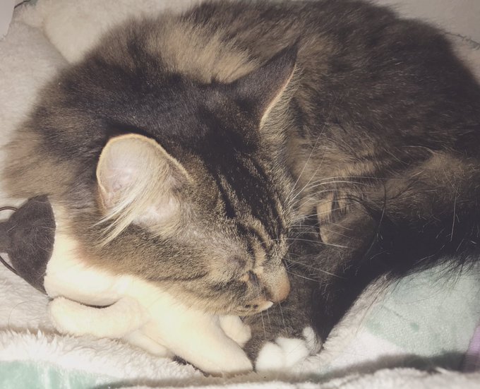 いらすとのtwitterイラスト検索結果 古い順