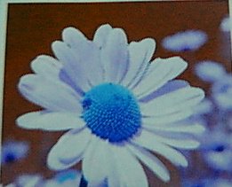 GreatRobotics's tweet photo. @TuftsES2Bot: Team White found Flower at Price $ 3.68 in Warehouse2x2Simple's room and wall:22S https://t.co/tcgww4ePBd