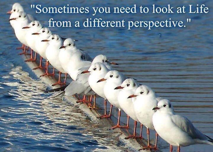 Have a different perspective this week #goodmorning