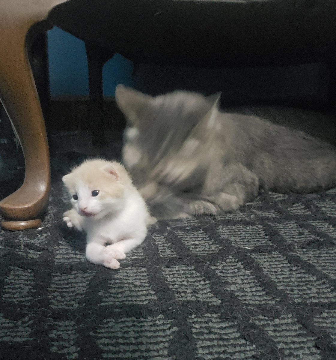 cesarmp's tweet image. 🤦🏻‍♂️