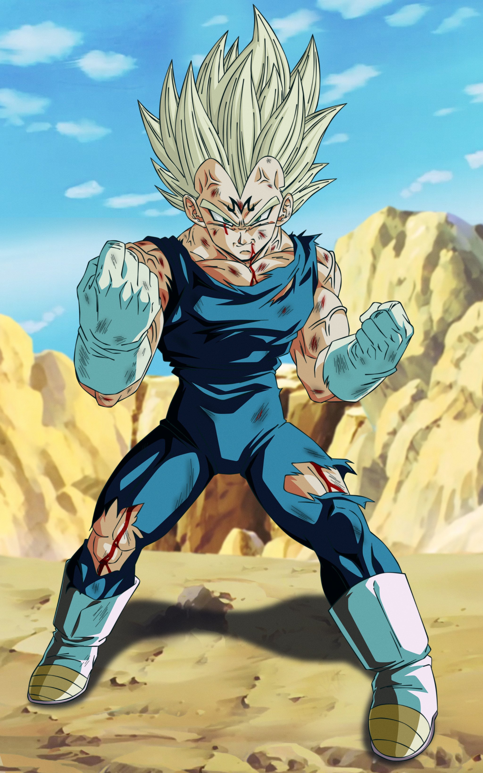 SSJ2 Goku Vs Majin Vegeta, Wiki