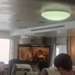 上級者向け タイタニック号の沈没を再現できるオモチャ 話題の画像プラス 上級者向け タイタニック号の沈没を再現できるオモチャ 話題の画像プラス