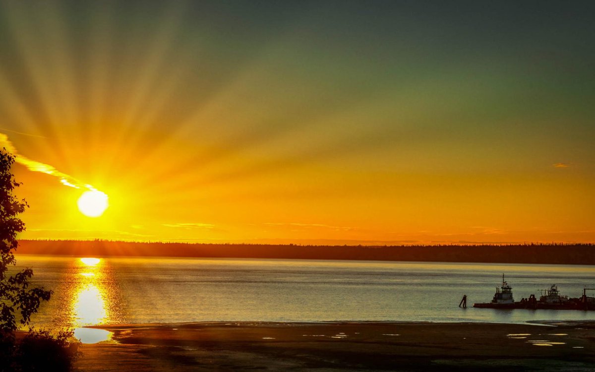 Just ~ Randy ✍️🌹 tweet media