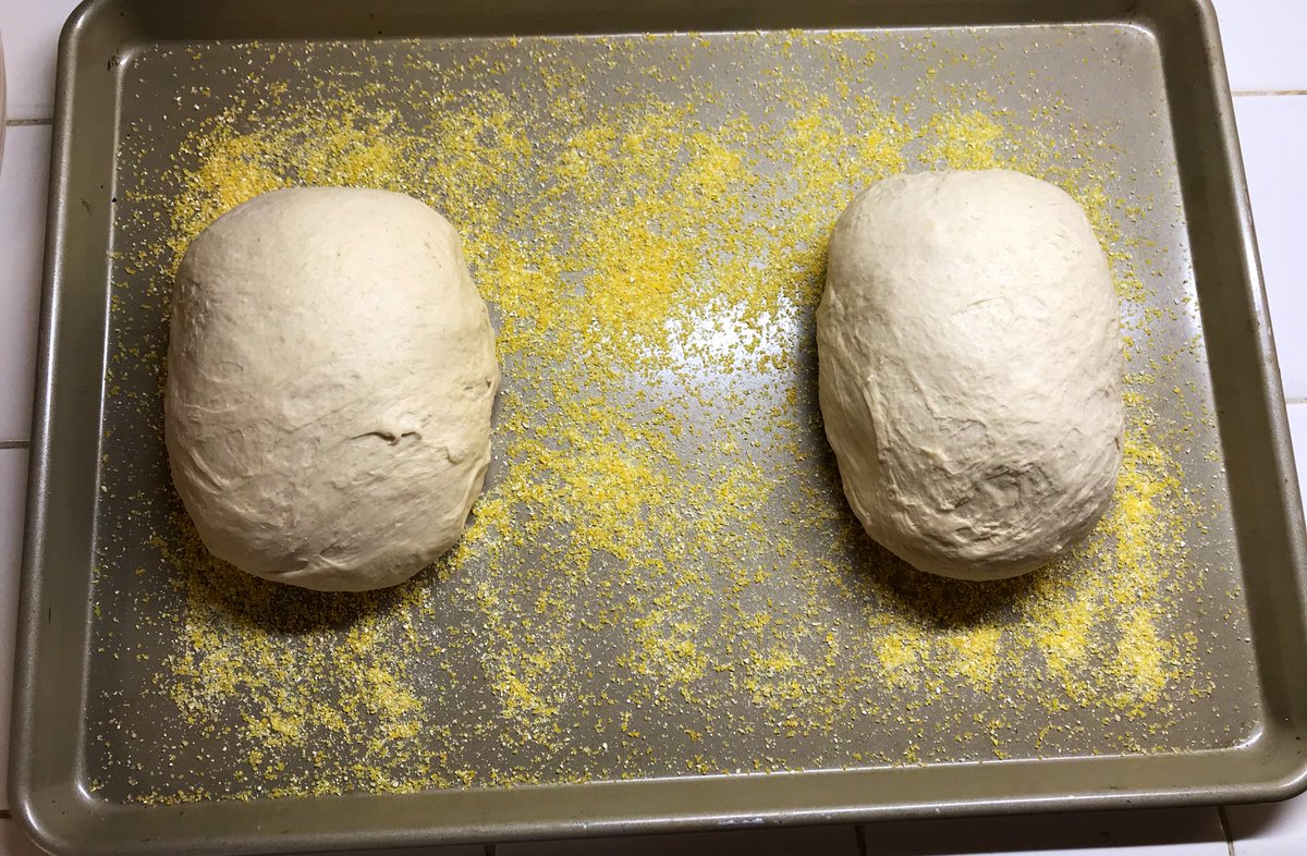 So those were the Roman loaves, with the Farro/Emmer flour. I decided to do the Koharasan/Kamut loaves (with the  @NASAJPL yeast cultures) as simple hand-shaped loaves. And by “simple” I mean my brain.