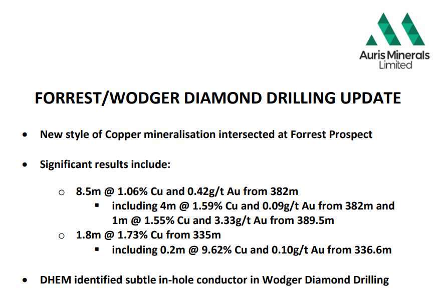 AurisMinerals's tweet photo. Auris Minerals is pleased to provide the results of diamond #drilling at the #Forrest and #Wodger Prospects in the #BryahBasin of Western Australia.
Read more: https://t.co/uoQ2dVsQEt
$AUR #copper #gold #exploration #investing #news #ASX https://t.co/CFtlBT2fIF
