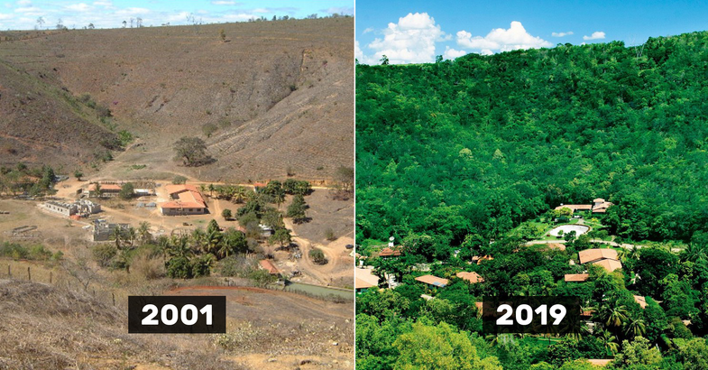 lcarrot's tweet photo. Ce couple a planté 2 millions d’arbres en #20ans  pour recréer une forêt et les animaux sont de retour https://t.co/1T4yxAEWC2  #sebasti ãosalgado #animal https://t.co/JAH7A8PXTo