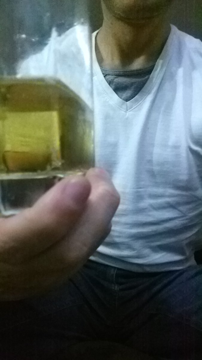 LoboCDMX69's tweet photo. @mariposatony_ Yo brindo contigo Mariposa linda y con la comunidad swinger, sus hermosas #HotwifeMexicana como tú y los buenos amigos #cucklod #Bixen&Stag con un rico whisky en este domingo coqueton https://t.co/g4S5qz21tw