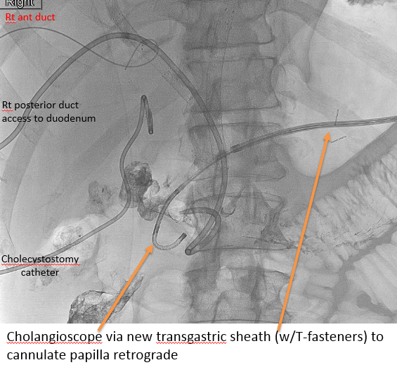 Charles Kim MD tweet media