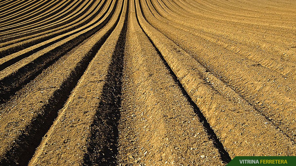 ¿Sabes cuál es la herramienta sin la cual no existiría la civilización?bbc.in/2ZAUhVx

#VitrinaFerretera #arquitectos #ingenieros #revistavitrinaferretera #construccion #herramientas