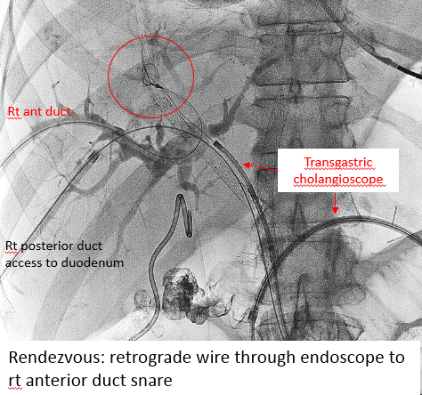 Charles Kim MD tweet media