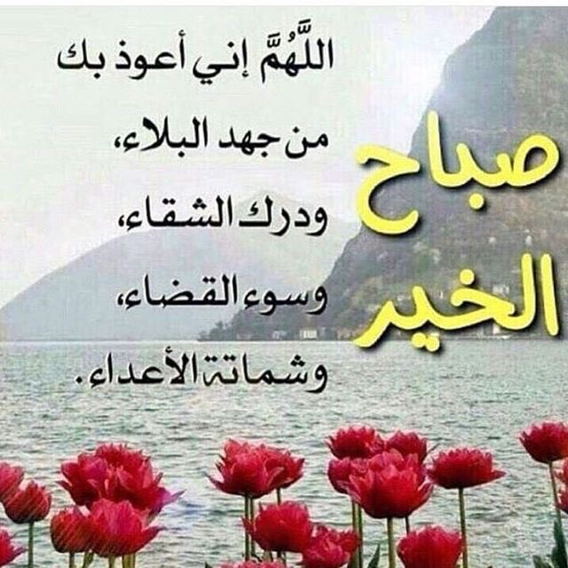الرجل الغامض (@untudfares) on Twitter photo 