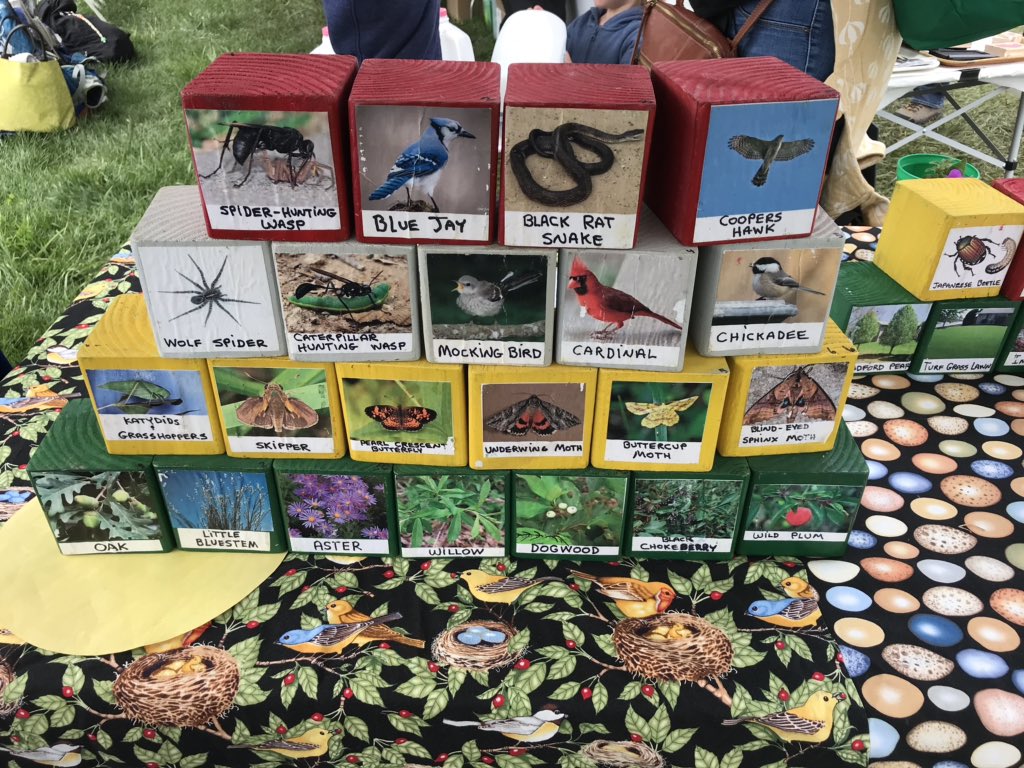FabaceaeFan16's tweet photo. Had no idea #STLEarthDay existed til we stumbled upon it in Forest Park today, a wonderful bunch of vendors promoting plants, pollinators, and sustainability. https://t.co/AKesGsC0GQ