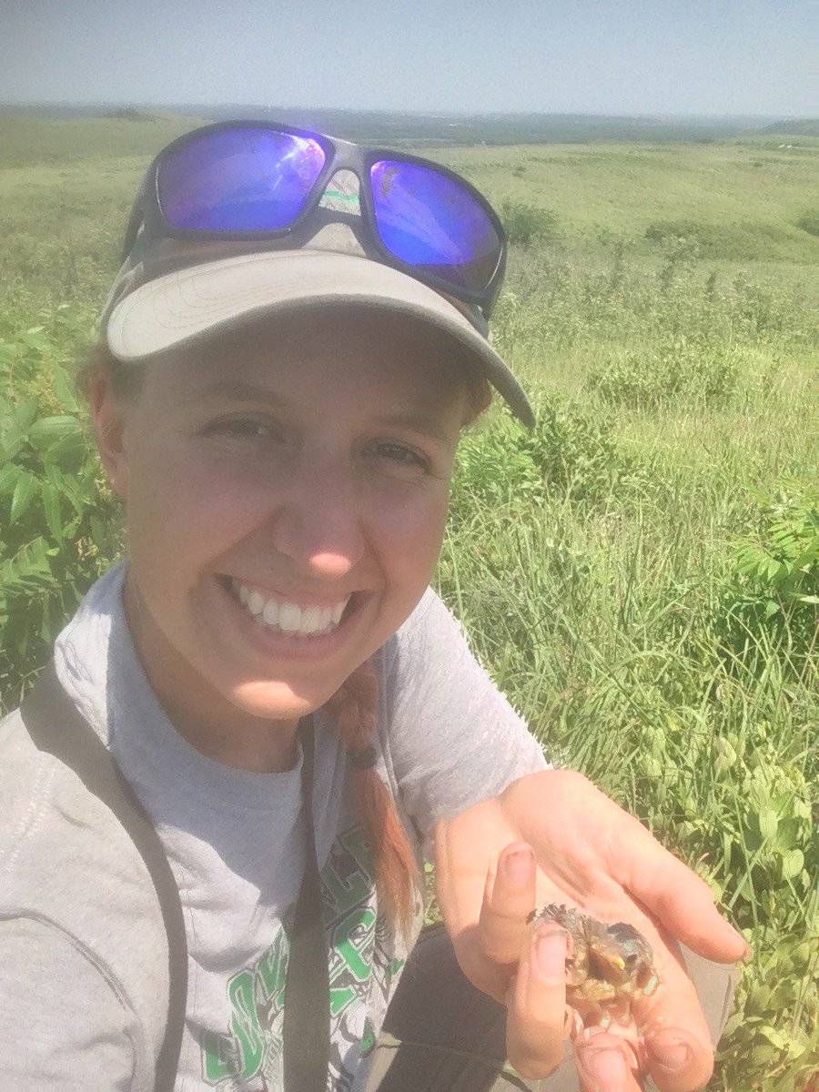 Let nature take her course, and in the meantime appreciate the amazing development of cowbird and host nestlings! [This very long thread brought to you by my five years of growing to love ugly cowbird nestlings] 37/end