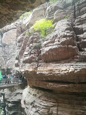 liyongbao's tweet image. What else is impossible?