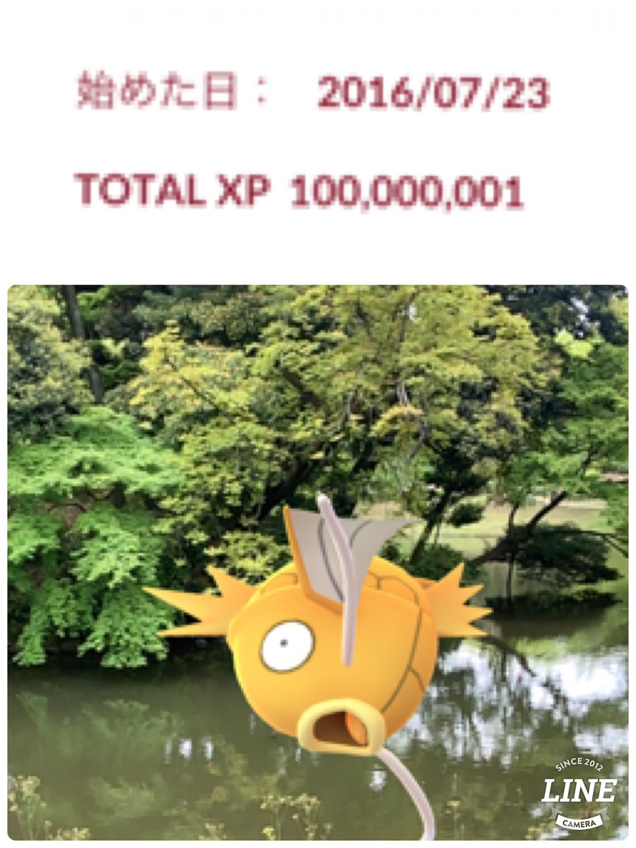 碧@PokémonGO tweet media