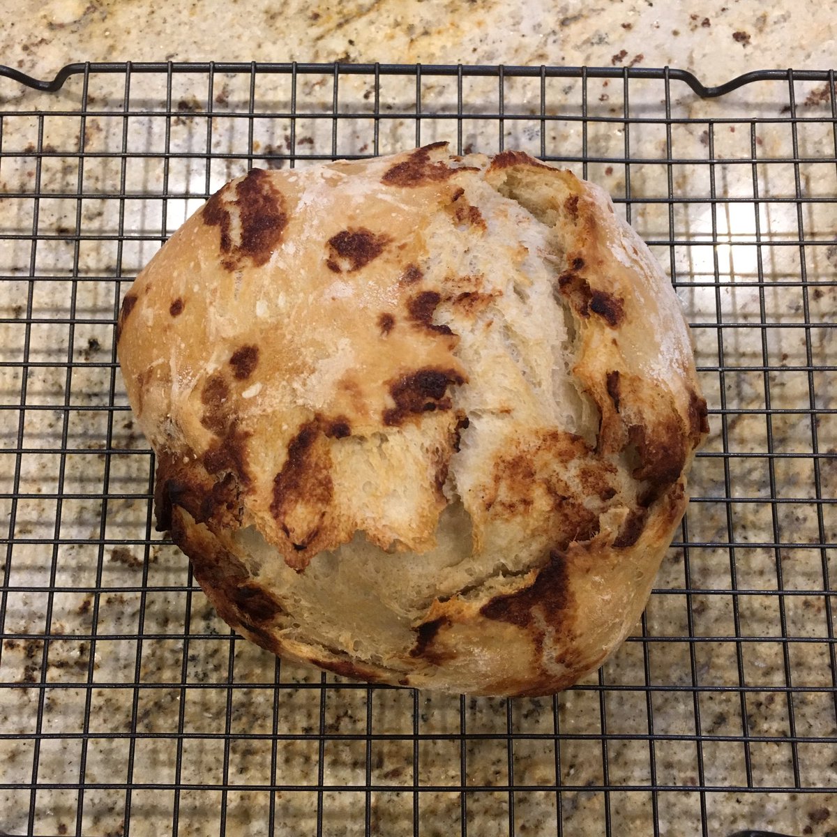 bennyb911's tweet photo. Made some cinnaburst artesian bread tonight.  Thanks to @NirxMack  and @BigShinyTyson for talking me off the ledge missing some steps and sticky Doug issues. #bakerdaddies #cinnaburst #bread #learningtheprocess https://t.co/cxktz4D4e1