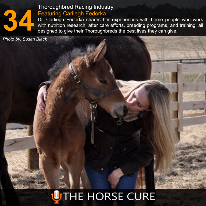 horsecurepod's tweet photo. Check out the latest episode with Dr. Carliegh Fedorka. #ThroroughbredRacingIndustry #HorseRacing #TheHorseCure #DrCarlieghFedorka #HorsePodcast https://t.co/r8qcv4XVvt