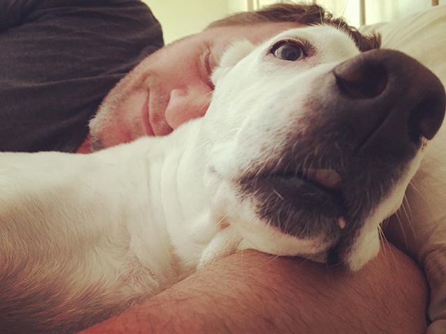 dogonblog's tweet photo. #sundayselfie with my favorite human @spiritjunkymusic both in a food coma after Indian buffet 🤤👍 #dogdays #doglife #snuggles https://t.co/GO7BNQjPBR https://t.co/1HDL0td0UQ
