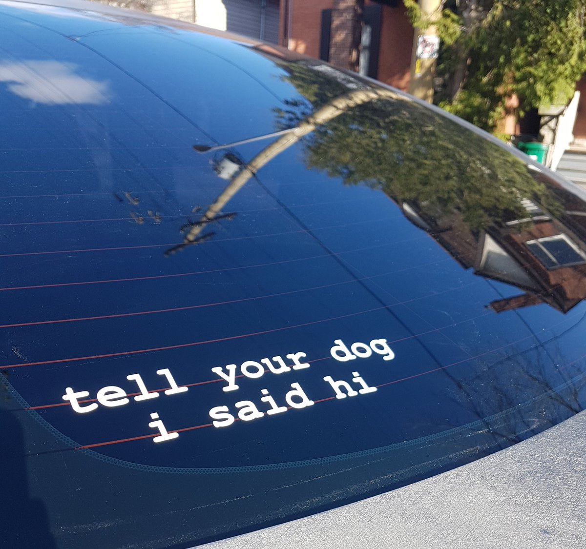 I've made a handful of drunk purchases before, but this is one is my favourite <a href="/dog_rates/">WeRateDogs</a> #noragrets