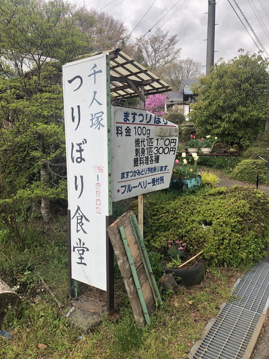 ニジマスお刺身 ニジマスお刺身