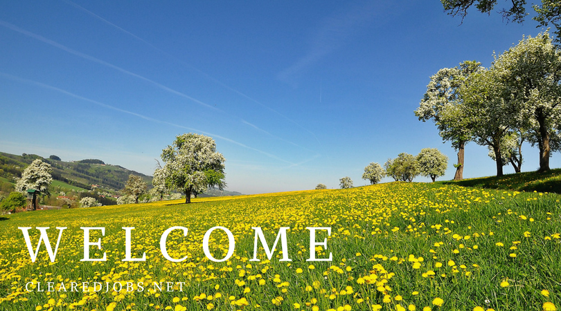 ClearedJobsNet's tweet photo. Welcome New Employers: @EntelligenceLLC @System1Inc @LinQuestCorp @halfaker @Navstar @LG_Cyber @AECOM @MicroPact @Microsoft , Integrated Federal Solutions, Evlos Technology, Technology Security Associates &amp; Ad Hoc Research - check out their open positions https://t.co/zPVu8M2TqB https://t.co/noFNw7P8lZ