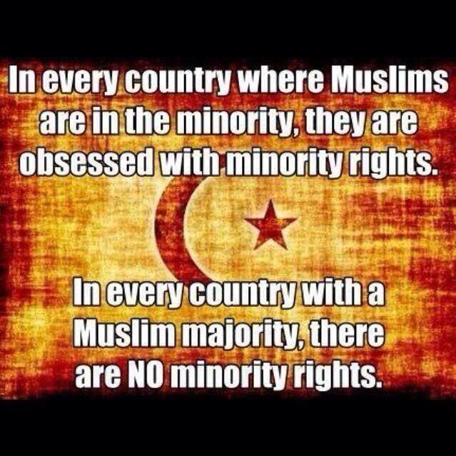 LongWoolyWilly's tweet photo. @husnisite @hrw @CFR_org Don't blame the world. blame yourself for the uncomfortable situation being faced by ur ilk. If you learn to integrate, assimilate and live in peace, no one will bother you. U reap what u sow. Stop trying to play the victim card. https://t.co/e286A1nHUK