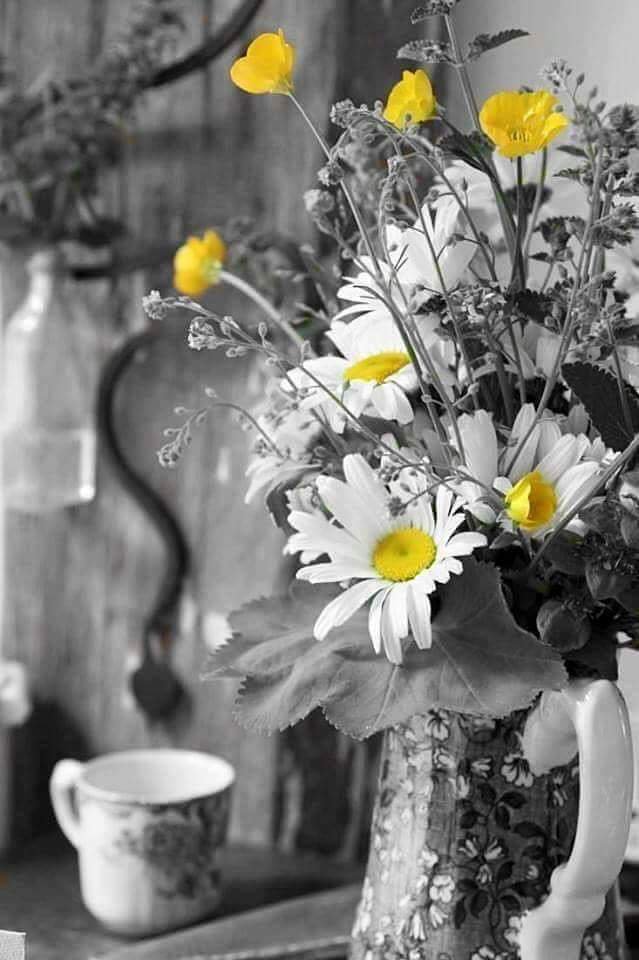 #Günaydın  Arkadaşlar, Dünyasınız mutlu, Hayalleriniz gerçek olsun. Gönlünüze huzur dolsun. Mutluluklar ömrünüzce, Her şey gönlünüzce olsun. . .