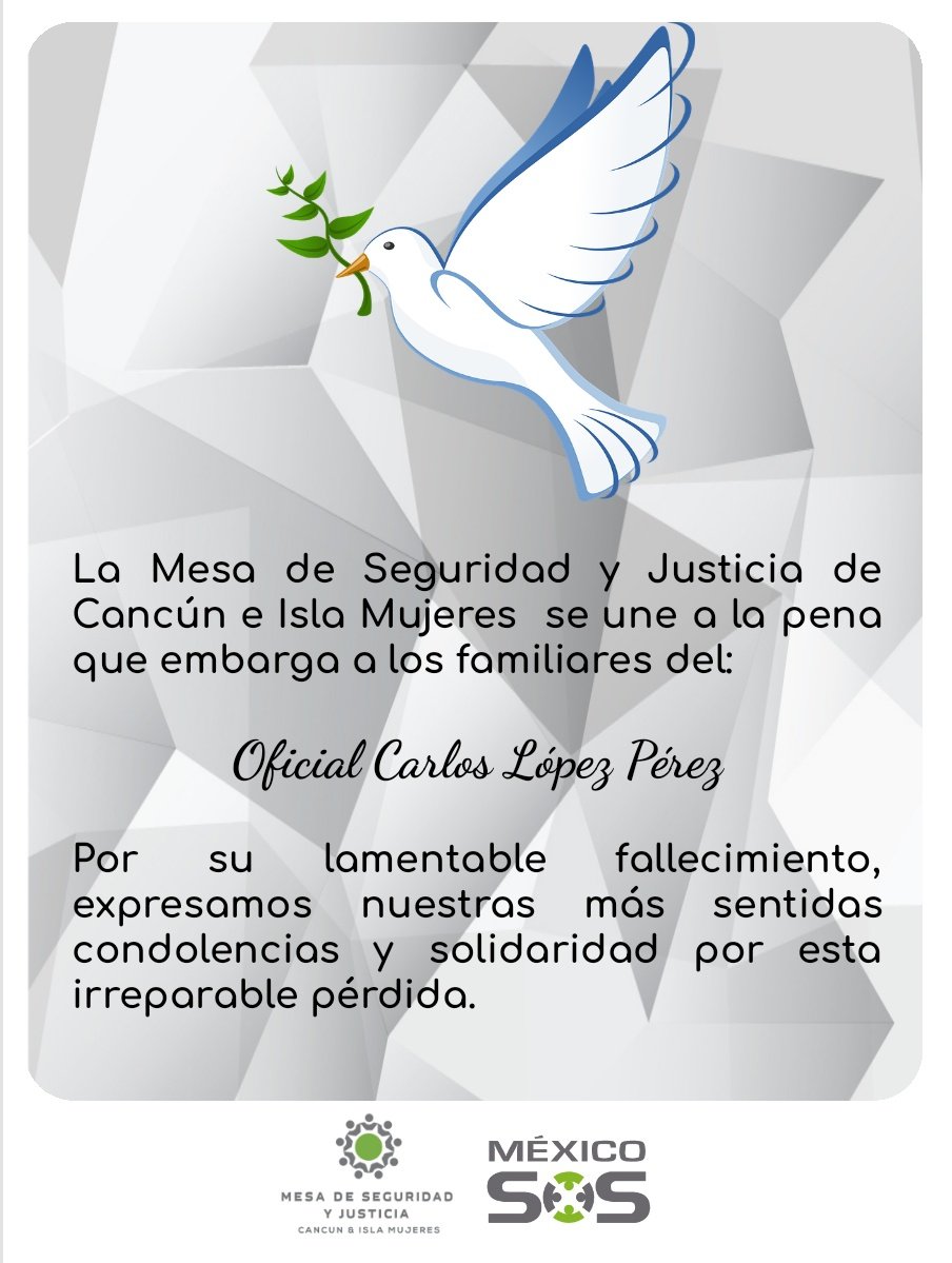 msjcim's tweet photo. Expresamos nuestras más sentidas condolencias y solidaridad por esta irreparable pérdida. 🕊️🏳️ https://t.co/uip6JGG2qC