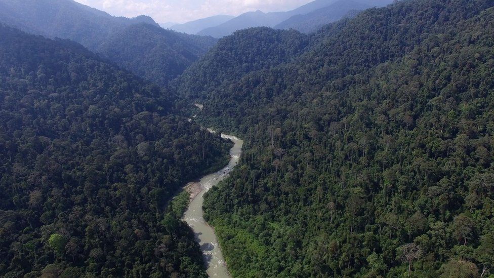 BBCIndonesia's tweet photo. SEBUAH UTAS

Ini tentang HUTAN TERAKHIR di planet ini di mana kita bisa menemukan orang utan, gajah, harimau dan badak berada di satu habitat alami. #hutanterakhir https://t.co/HGAlaayGii https://t.co/qm45Qdwfa3