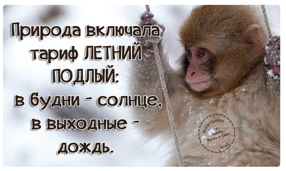 Открыток февраля, открытки все включено на выходных