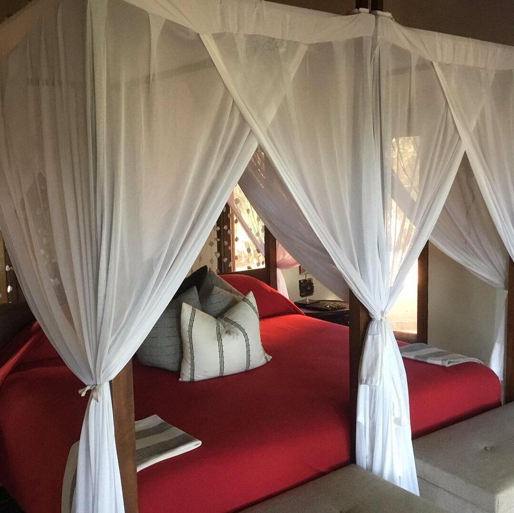 Traveltalk tweet media