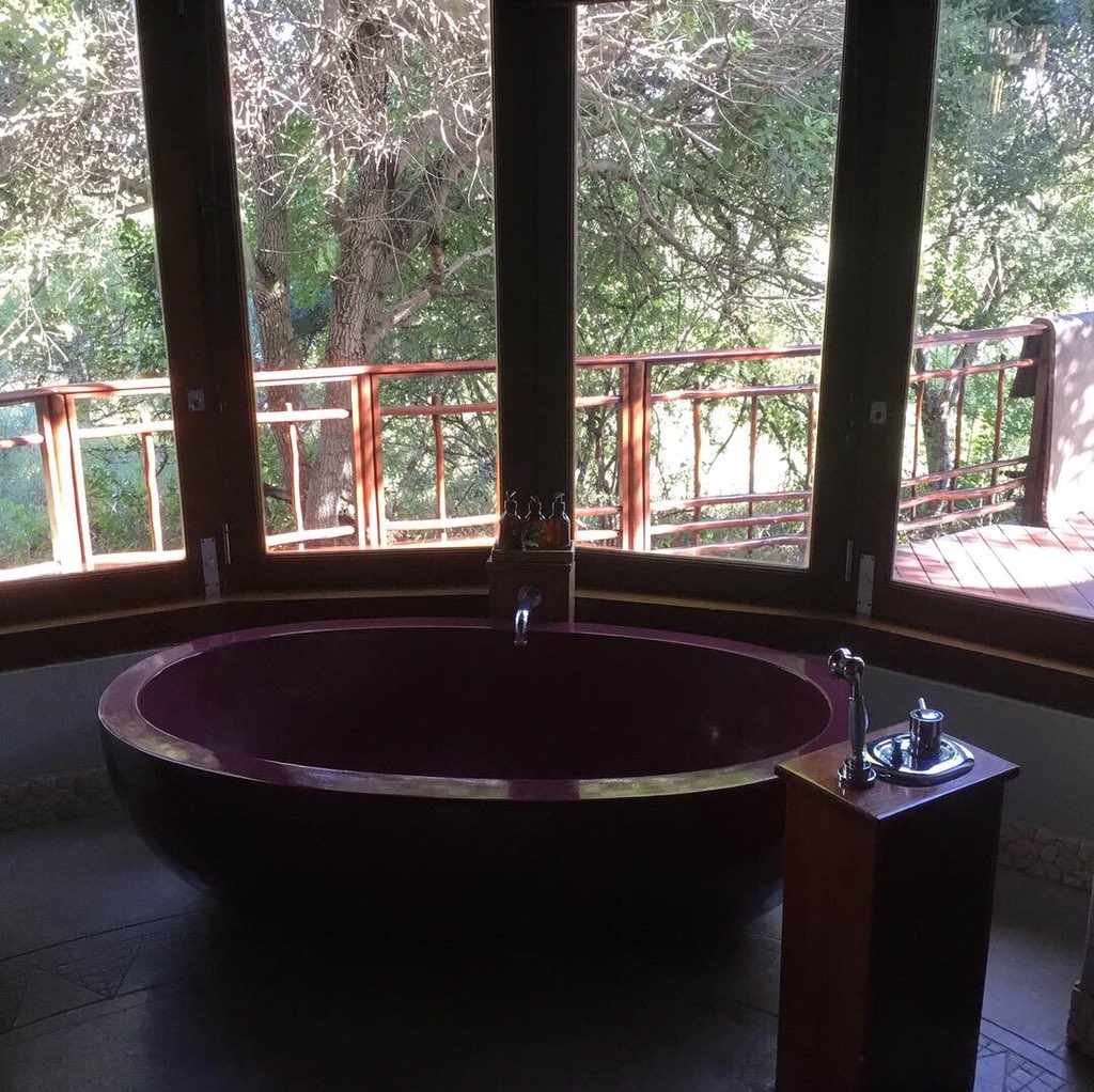 #Safari, done in style at <a href="/Thanda_/">Thanda</a>. <a href="/SouthAfrica/">Visit South Africa</a> <a href="/SouthAfricaANZ/">South African Tourism ANZ</a> #indaba2019 #southafrica