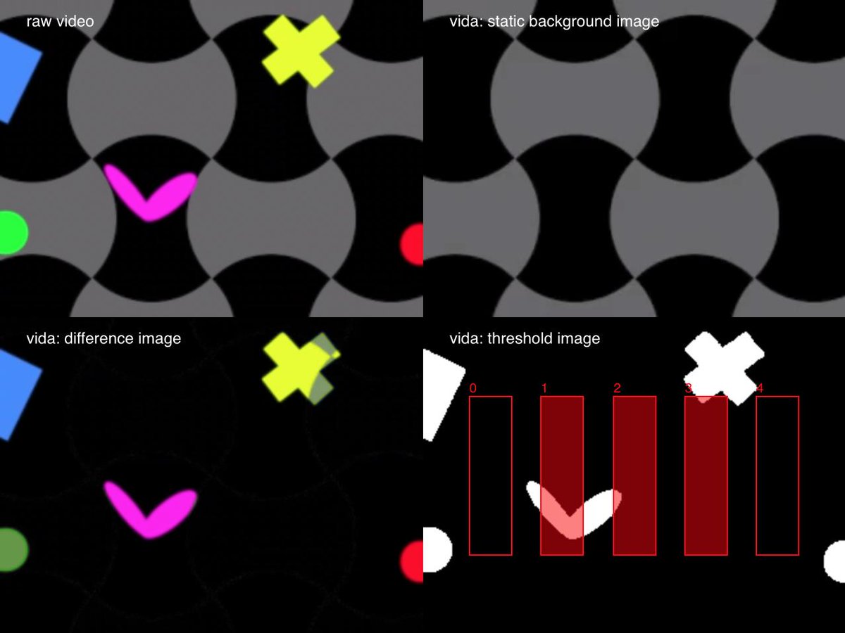 video difference images generated by algorithm