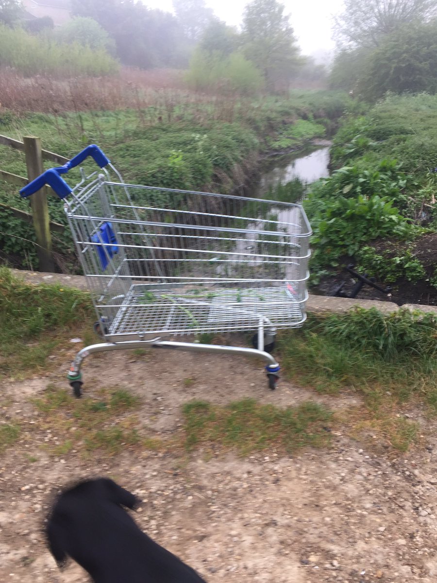 MissHLVarney's tweet photo. Trolley graveyard this morning on our wall 😡@StevenageBC @Tesco @EnvAgency https://t.co/eLMLbhzgcU