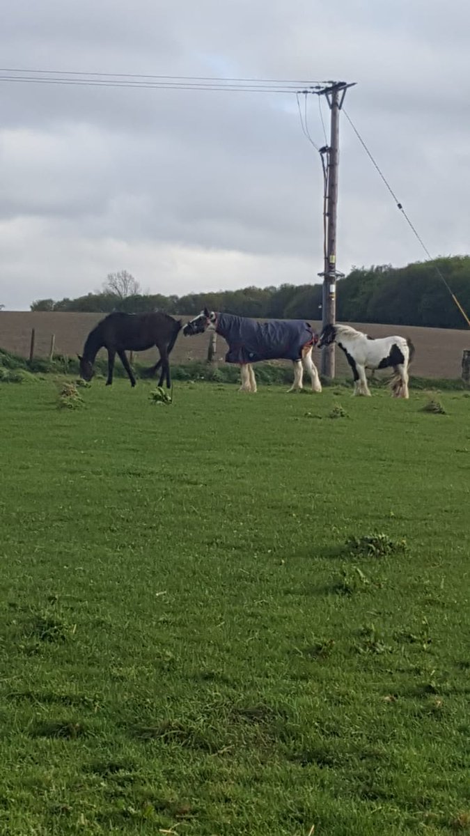 WinksPeter's tweet photo. Happy retirement with your new friends Dee Dee . https://t.co/8sm9BNFfYF
